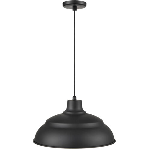 R Series 1 Light 17 inch Satin Black Indoor Pendant Ceiling Light